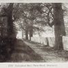 Springhead Road, Perry Street